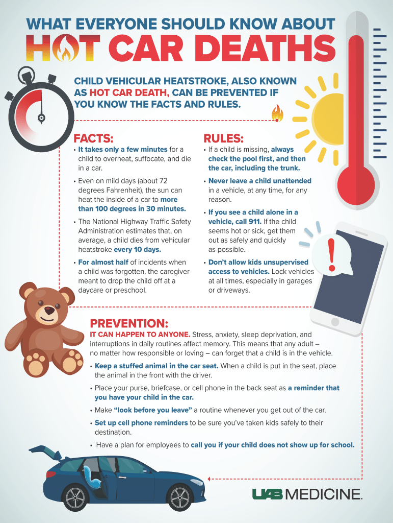 Hot Car Safety infographic