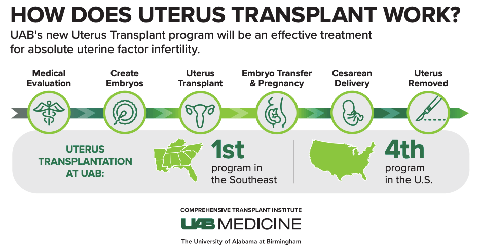 How does uterus transplant work