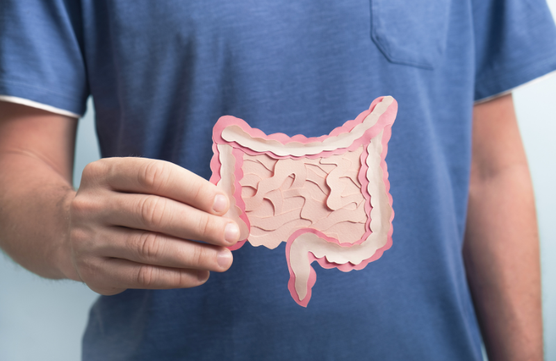 man holding gut image cut out in front of body